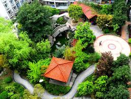 针对市区园林绿化的不足，专家呼吁加强城市绿化建设。