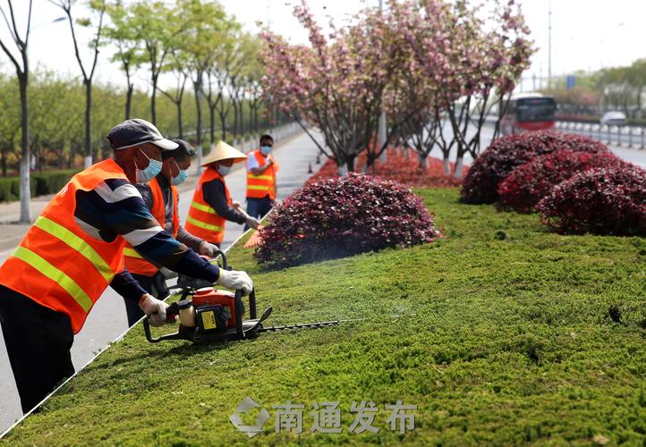 园林管理现况引关注：乔灌木修剪难题亟待解决！