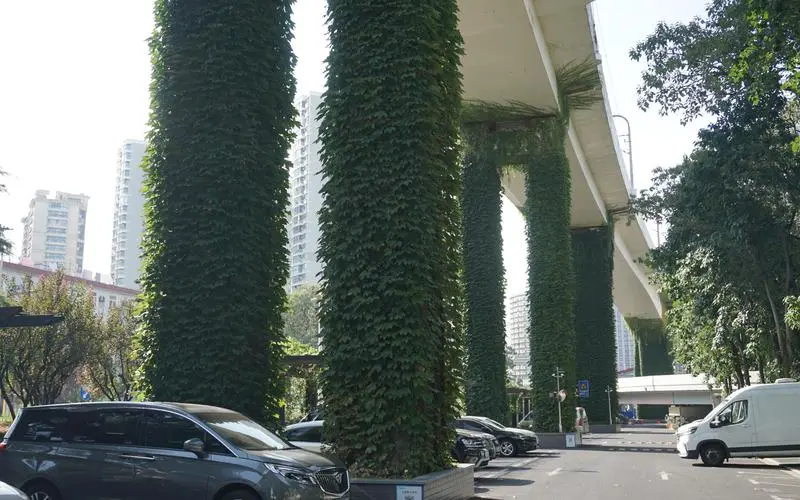 提升市园林管理水平的需求：缺乏绿地规划与管理建设影响城市形象